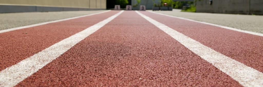 Laufbahn (Dominik Moser)