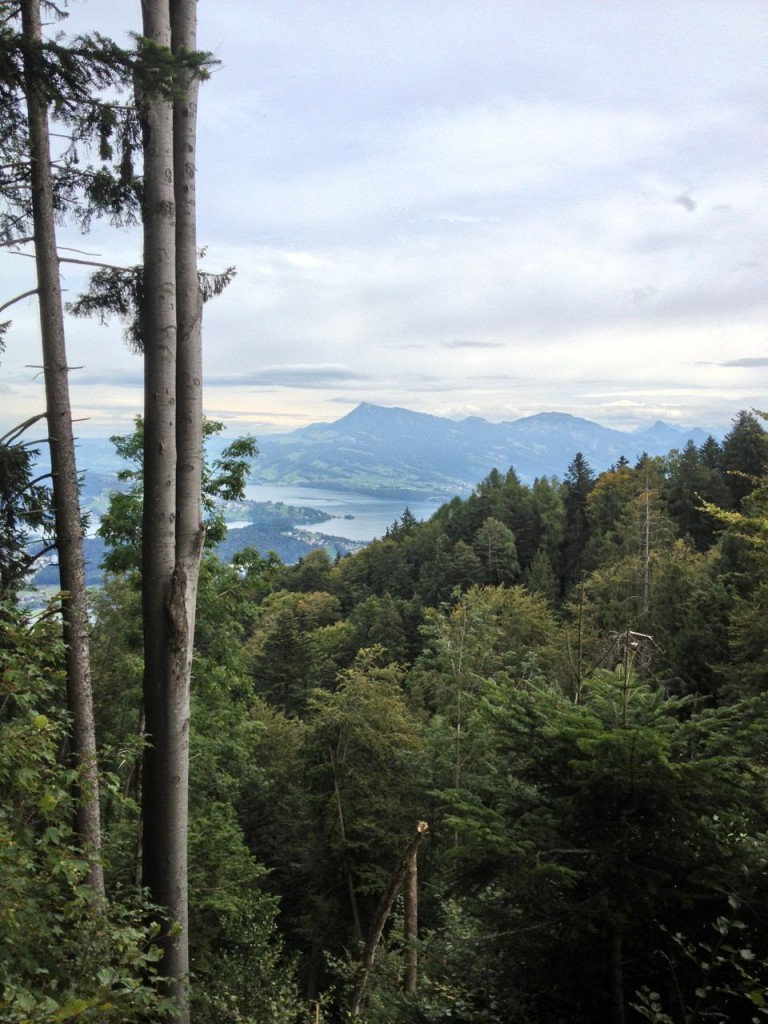 Vierwaldstättersee im Kanton Luzern (Dominik Moser)